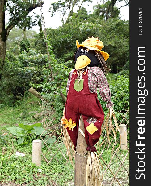 Smiling scarecrow standing in green field