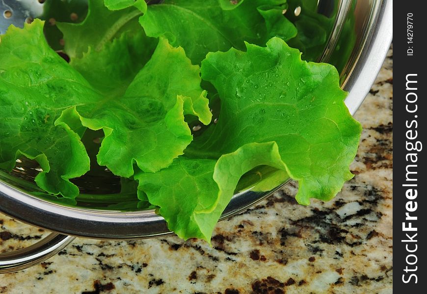 Lettuce In Colander On Granite Counter