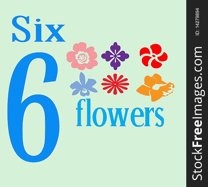 Six Flowers