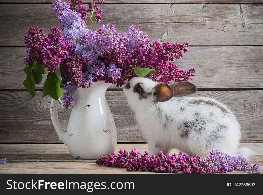 Easter Bunny With Lilac On Wooden Background