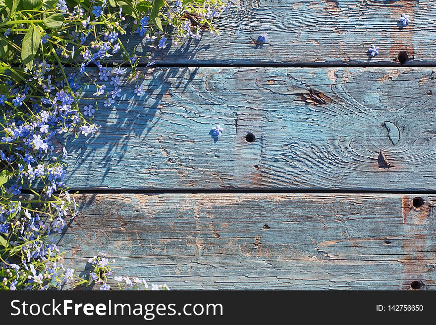 Blue flowers on old wooden background