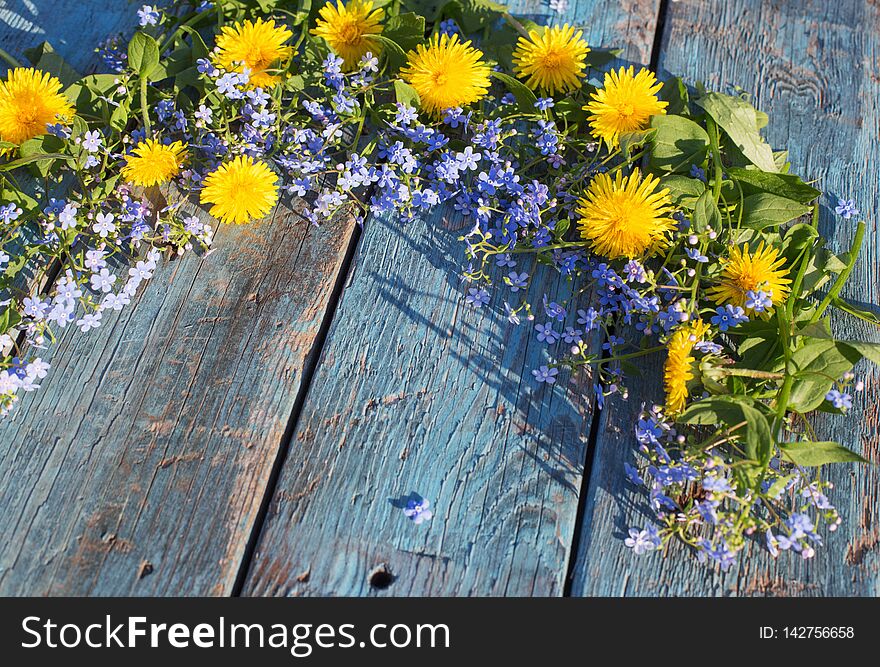 Blue and yellow  flowers on wooden background