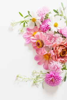 Pink Flowers On White Background Royalty Free Stock Photos
