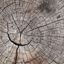 Free Old Cracked Wood Royalty Free Stock Photography - 142761057