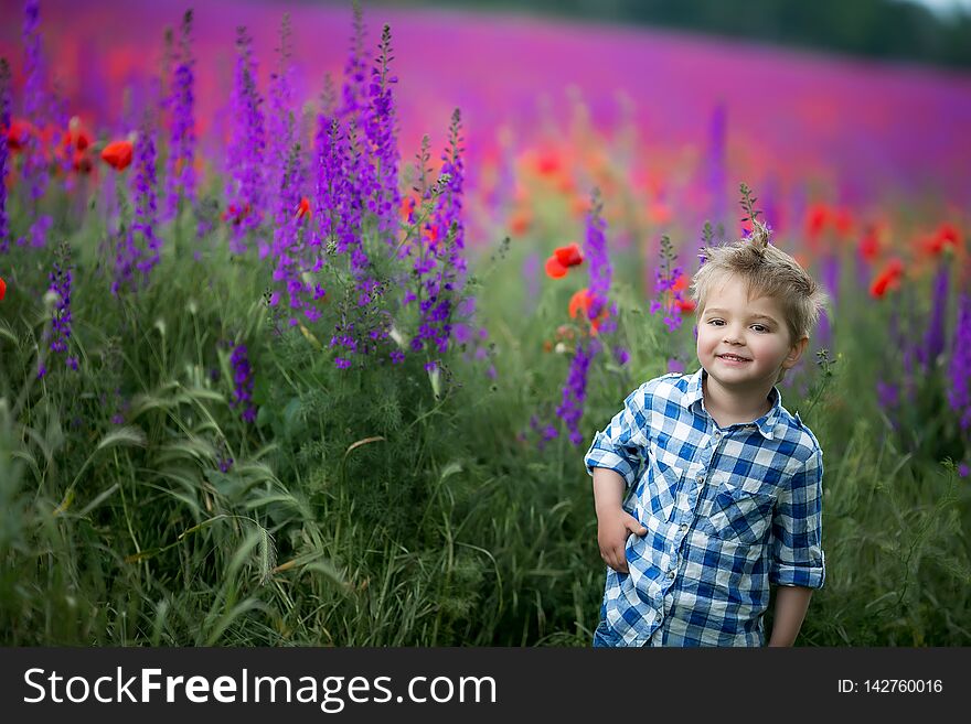 Little cute boy in field with red poppies and blue sky