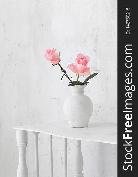 Pink roses on vase on white background