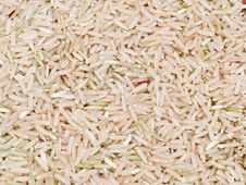 Brown Rice Grain Stock Images