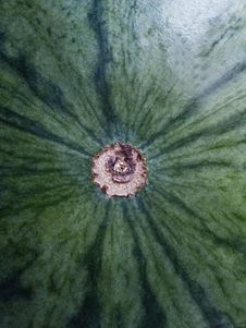 Melon Stock Images Melon Stock Images