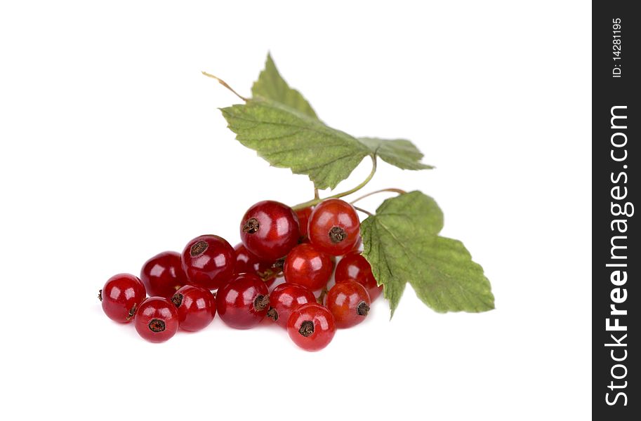 Red currant with green leaves isolated on white background