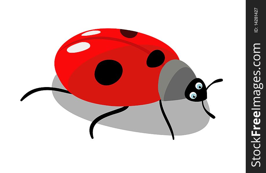 The beautiful insect is red ladybird