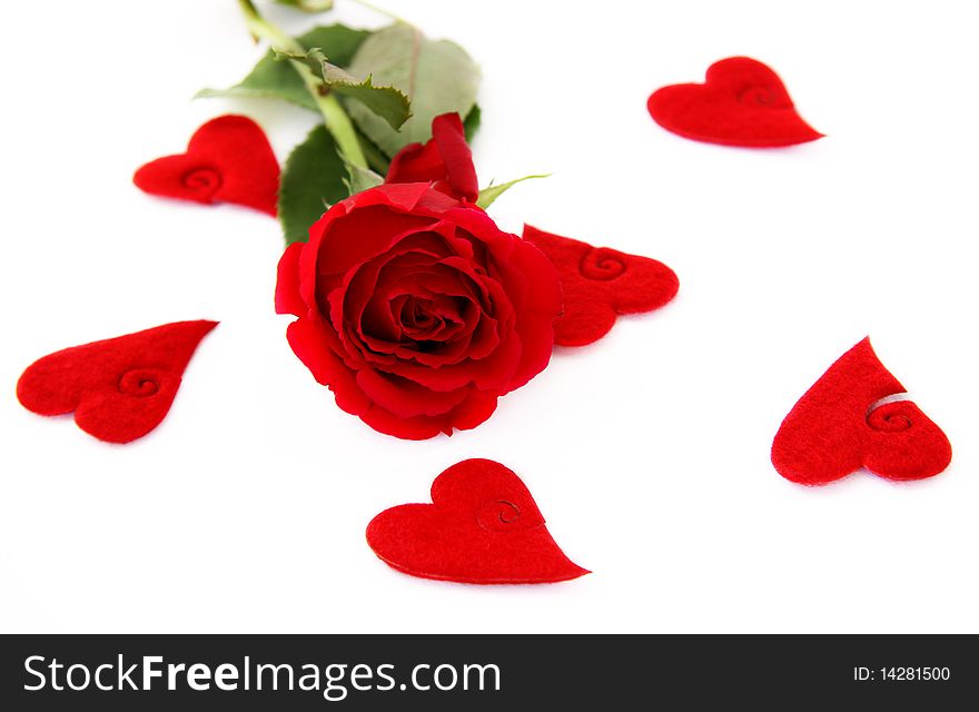 Beautiful red roses on a white background with hearts