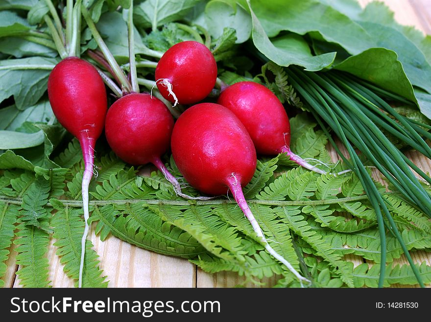 Garden radish-vitamins vegetables