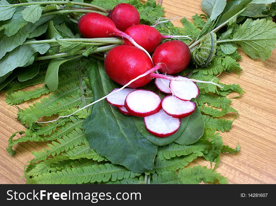 Garden radish-effective vitamin root apply in food