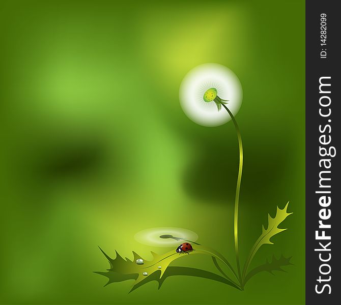 Illustration, feathery dandelion on green background and Ladybird