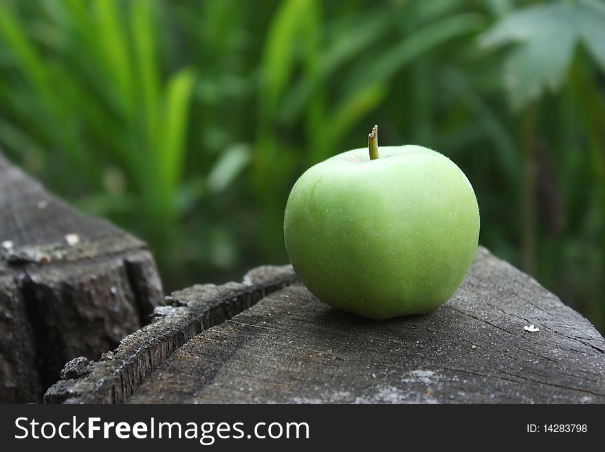 Green apple in the garden