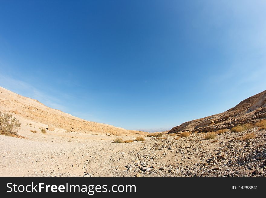 Desert Landscape Fisheye View