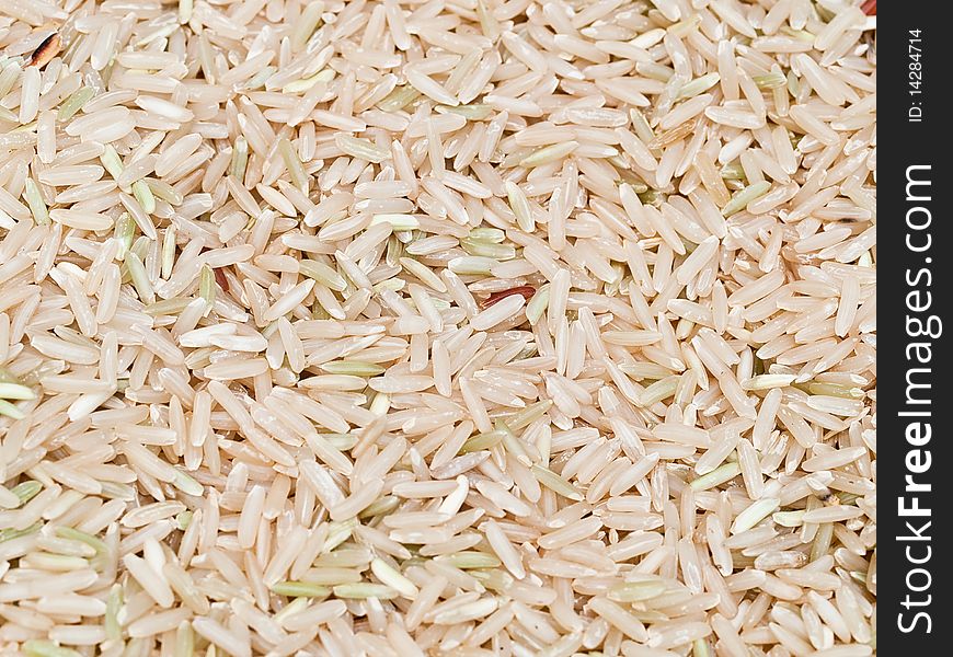 Brown rice grain in detail