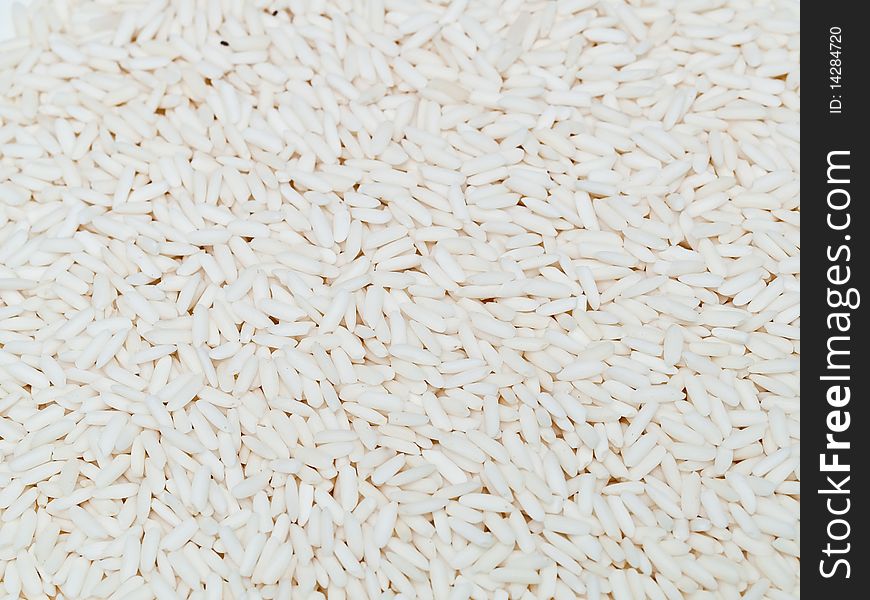 Thai rice grain in detail