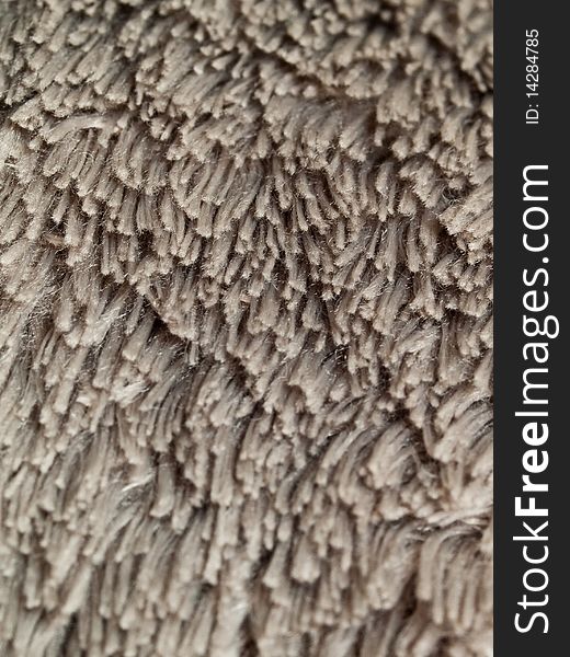 Texture fur grey hair carpet