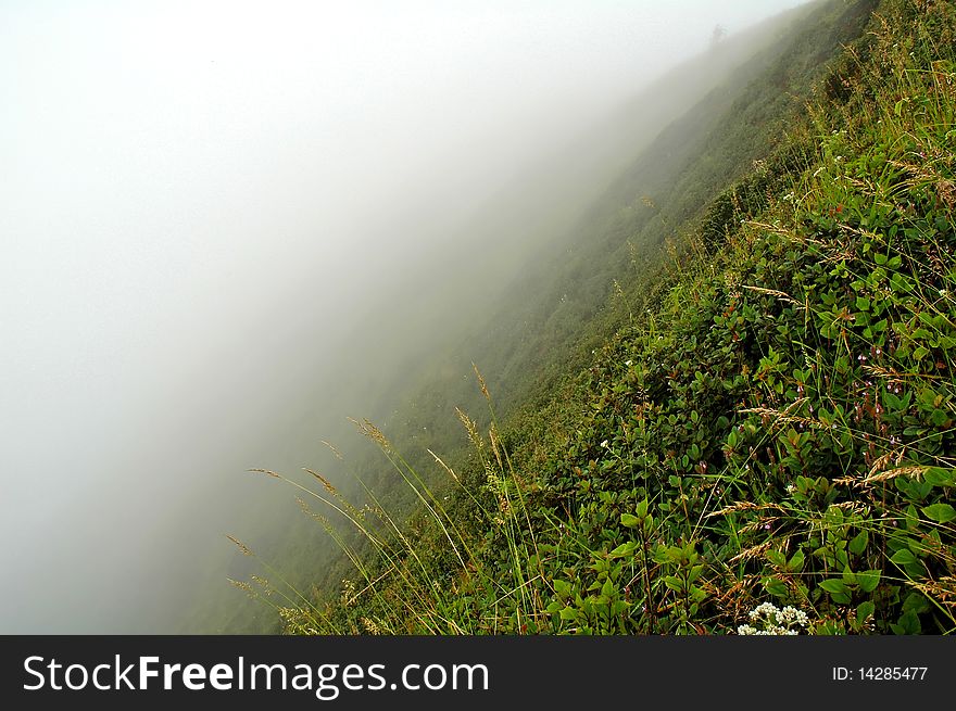 Sub, alphine climate, inthanon mountain