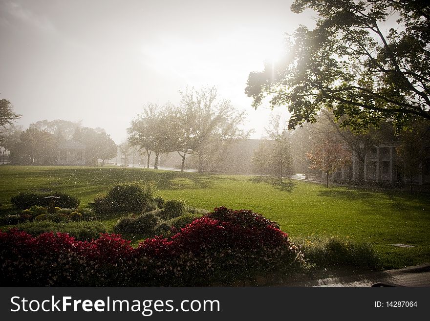 Rainy Estate