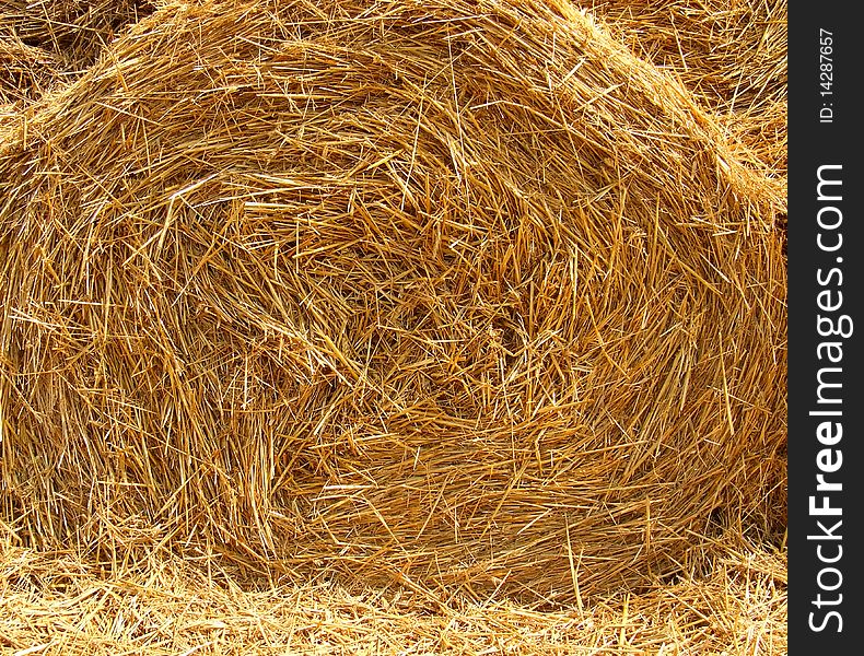 Straw bale harvest in summer