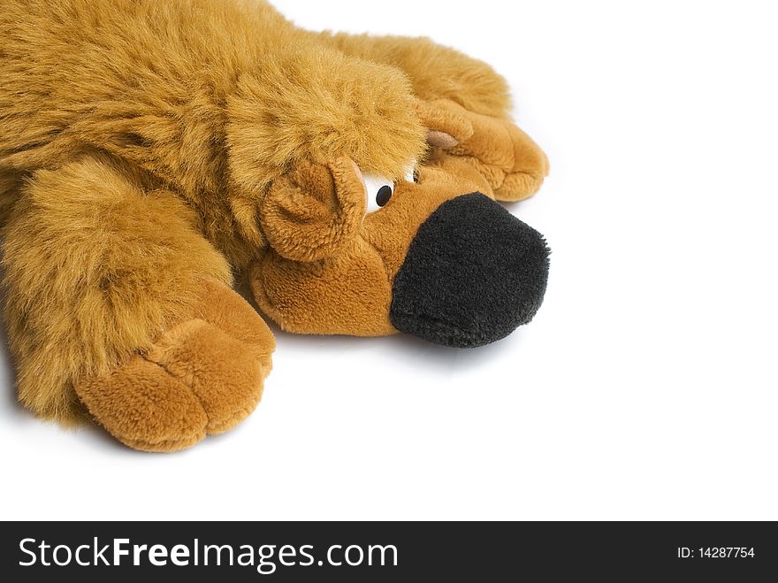 Head part and paws of the red toy bear with big eyes isolaten on white background