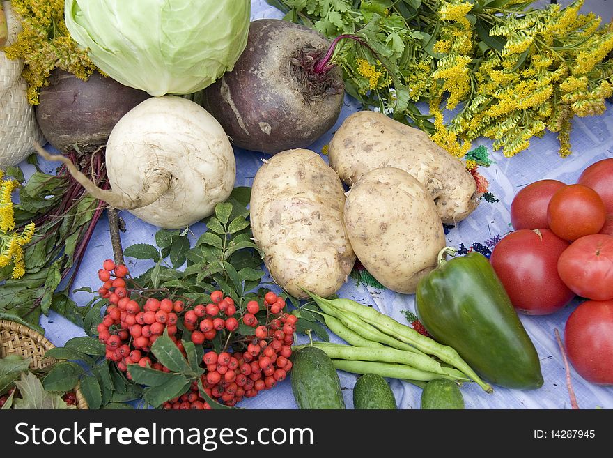 Vegetables - tomateoes, Potato, and mountain ash