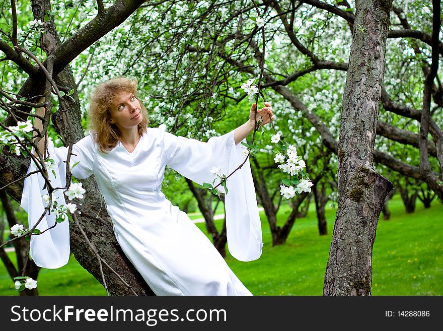 The blonde girl in white dress sittng on apple-tree with white flowers. The blonde girl in white dress sittng on apple-tree with white flowers