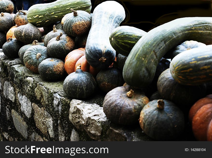 Multi colored pumpkins in a row