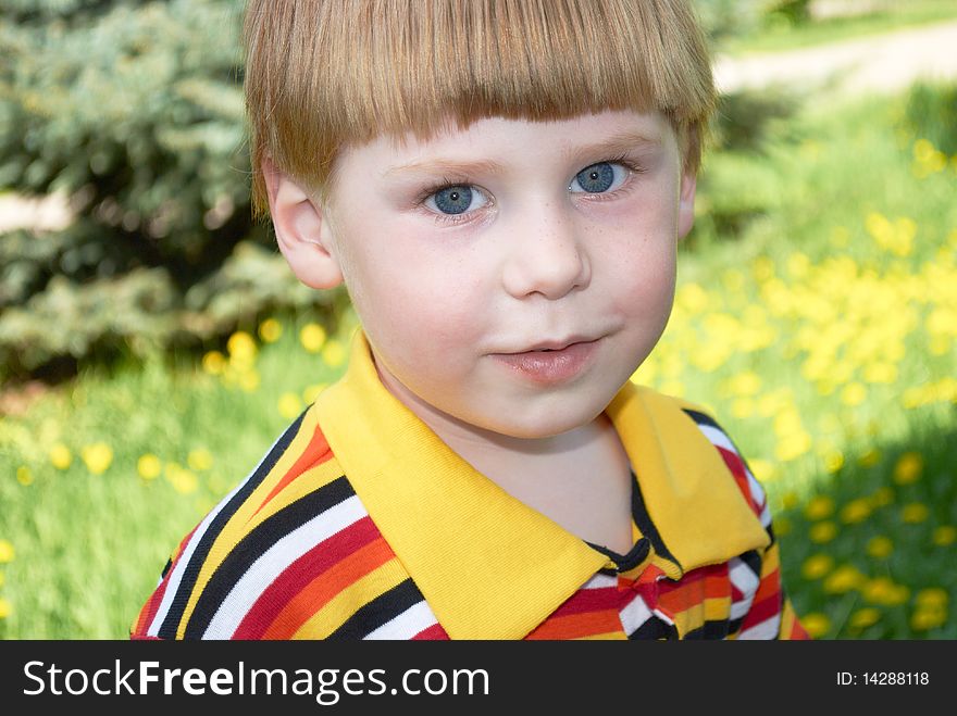 Portrait of the boy on a background of yellow colors in the spring. Portrait of the boy on a background of yellow colors in the spring