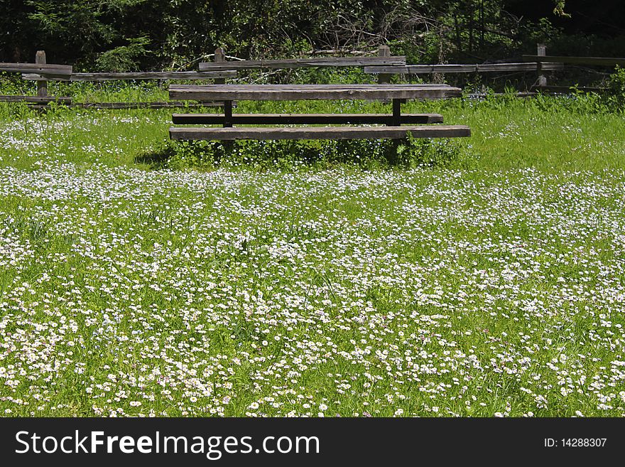 A picnic table awaits its guests in this beautiful spring meadow. A picnic table awaits its guests in this beautiful spring meadow.