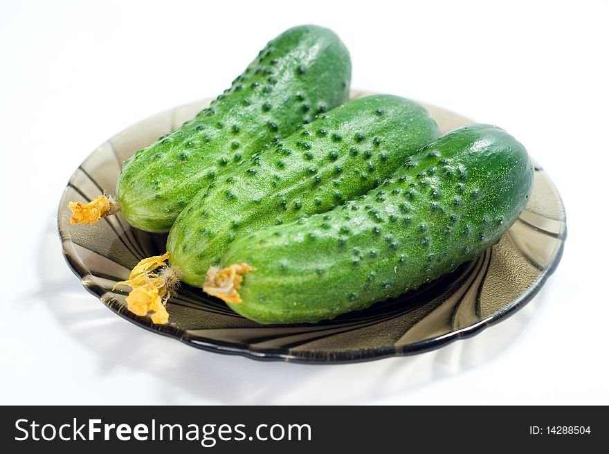 Green cucumbers at white plate close-up on a white background. Green cucumbers at white plate close-up on a white background