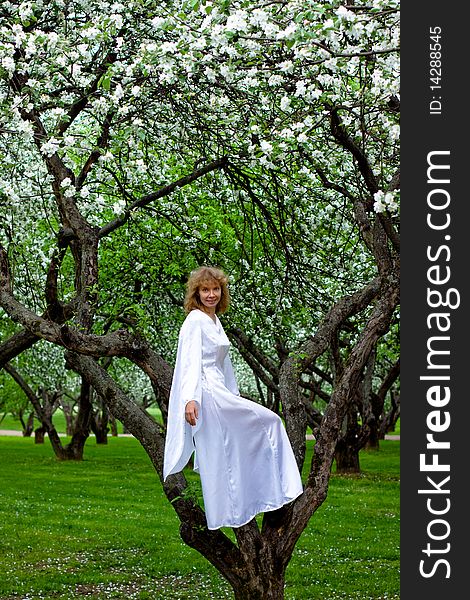 The blonde girl in white dress sittng on apple-tree with white flowers. The blonde girl in white dress sittng on apple-tree with white flowers