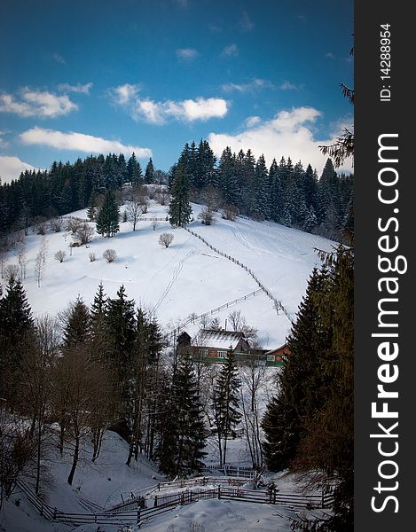 Winter landscape. View of the forest and mountains.