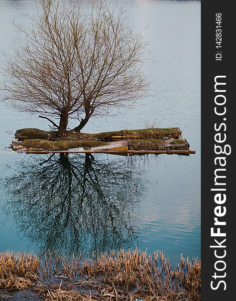 Small artificial island with two trees on a lake. Reflection in water. Environment for birds. Small artificial island with two trees on a lake. Reflection in water. Environment for birds