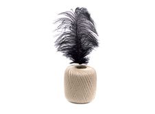 Black Ostrich Feather On The Clew  On White Royalty Free Stock Image