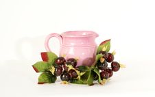 Pink Ceramic Jar With A Sprig Of Souvenir Berries Stock Photography