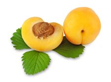 Apricot With Hand Made Clipping Path Royalty Free Stock Photography Apricot With Hand Made Clipping Path Royalty Free Stock Photography