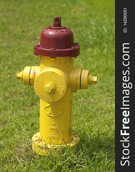 Yellow fire hydrant on a lawn