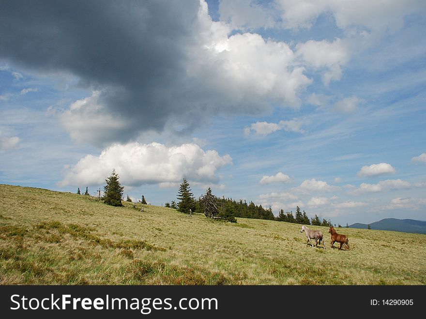 Horses on a mountain summer slope under huge clouds. Horses on a mountain summer slope under huge clouds