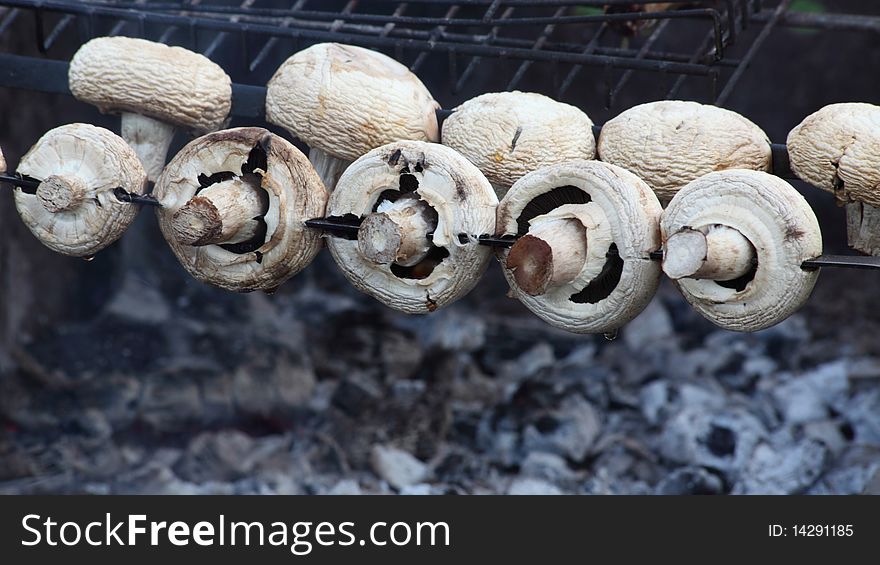 Mushrooms are baked on a skewer over open fire. Mushrooms are baked on a skewer over open fire