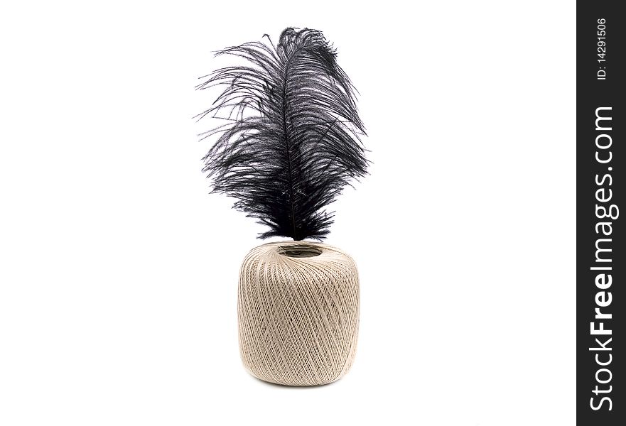 Black Ostrich Feather On The Clew  On White