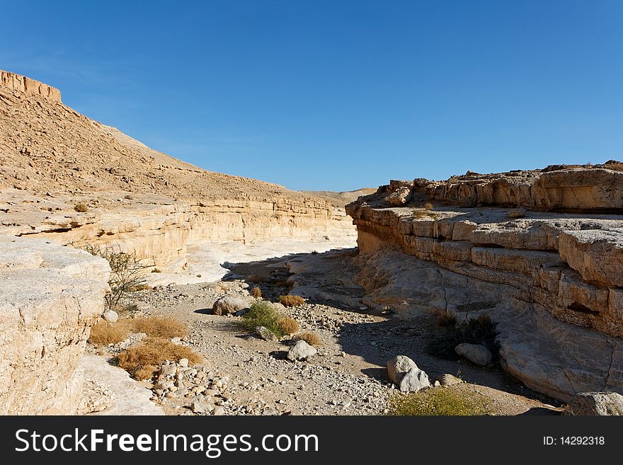 Canyon in the rocky desert