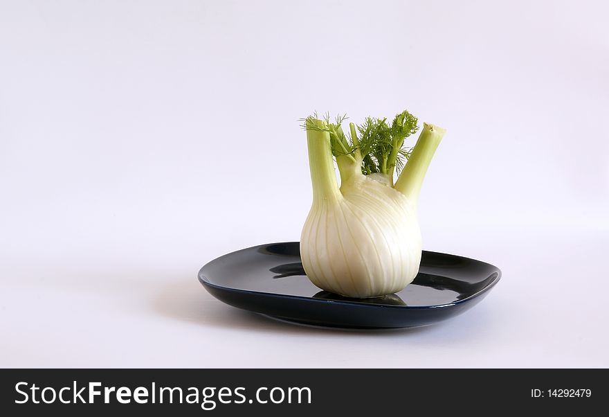 Large image of fresh fennel on a white background