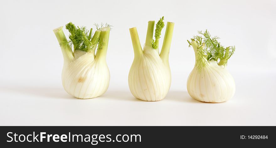 Large image of fresh fennel on a white background