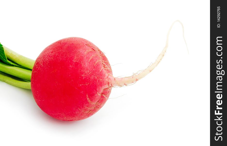 Fresh radish isolated on white