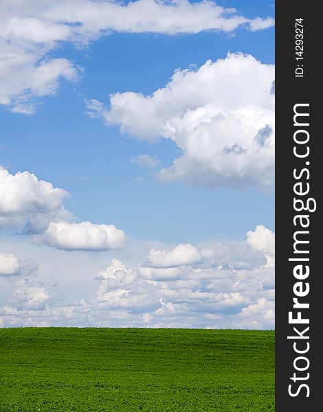 A beautiful green field with white clouds