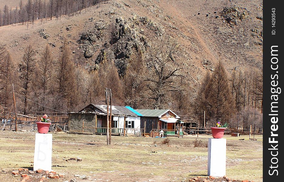 Mongolian Countryside