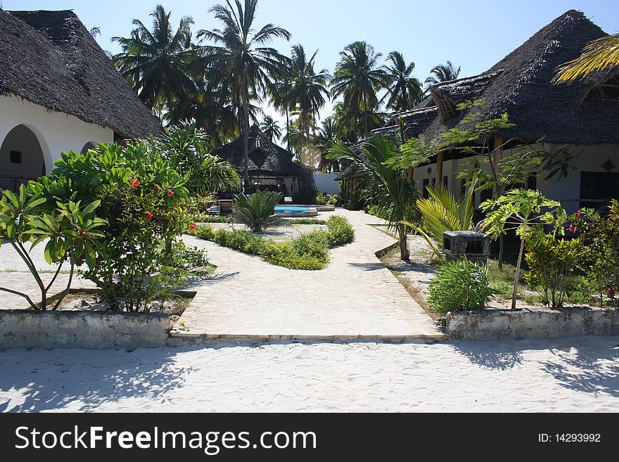 The pool area of a beach resort on a palm-fringed beach in Zanzibar. The pool area of a beach resort on a palm-fringed beach in Zanzibar